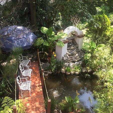 Villas Sol Y Luna Coyoacan Мехіко Екстер'єр фото